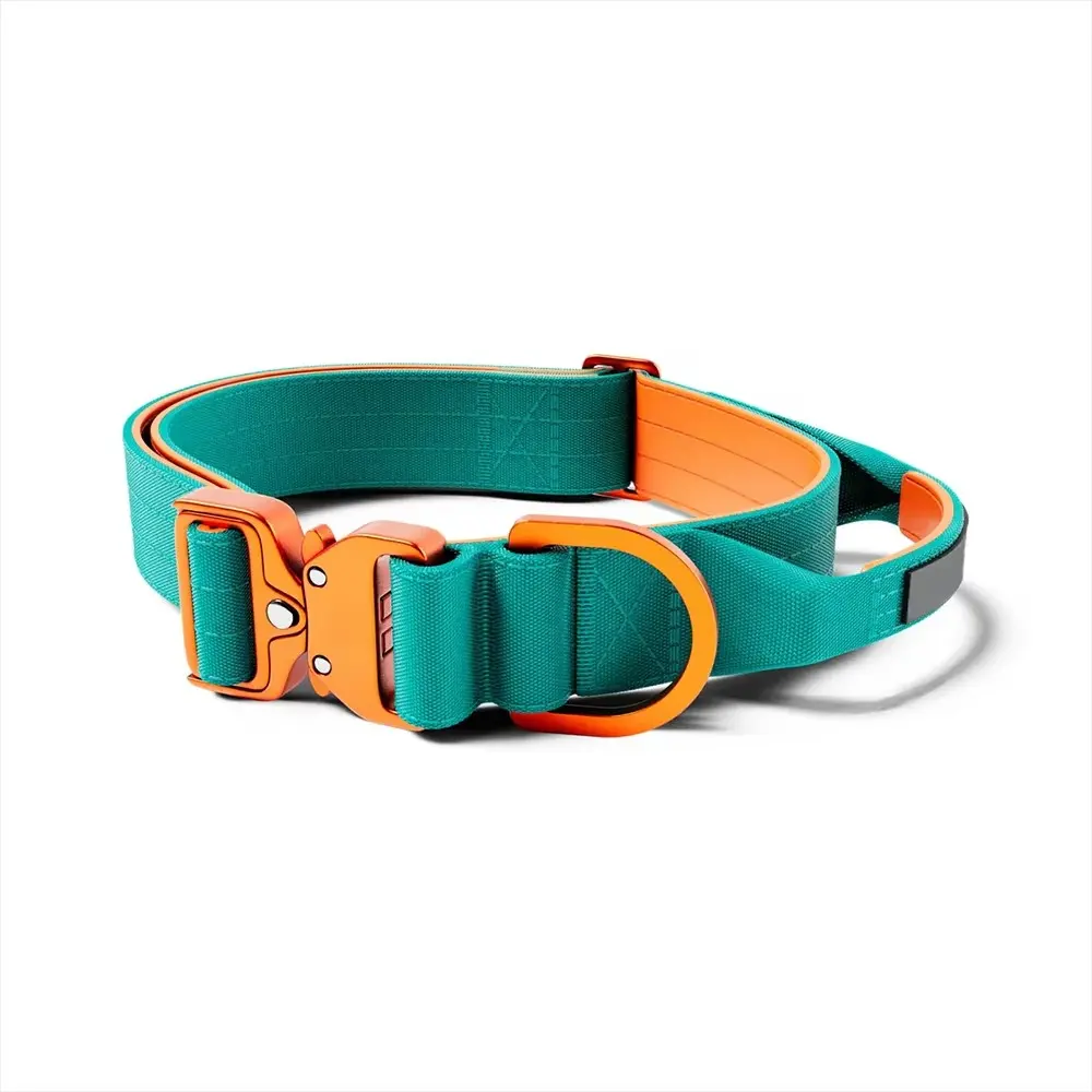 Customized Logo Color Blocking Design Pet Outdoor Training Nylon Tactical Heavy Duty for Wholesale & OEM Programs detail