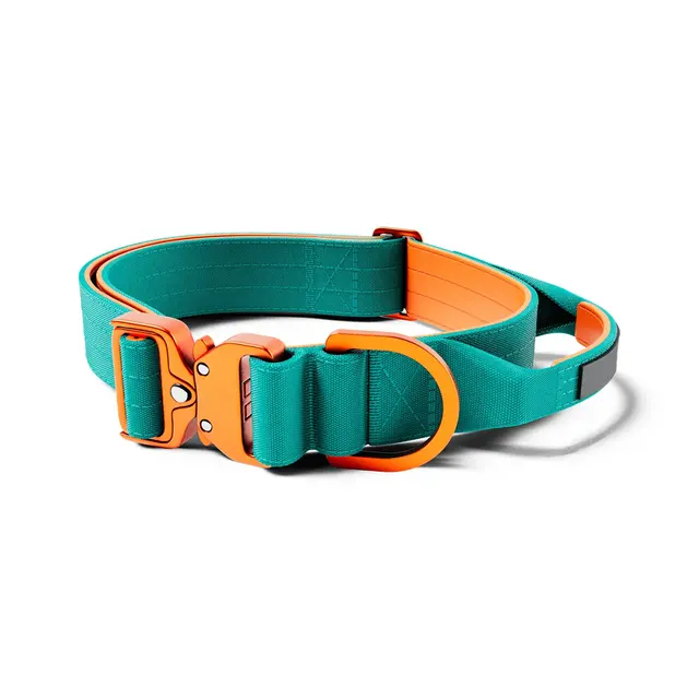 Customized Logo Color Blocking Design Pet Outdoor Training Nylon Tactical Heavy Duty for Wholesale & OEM Programs