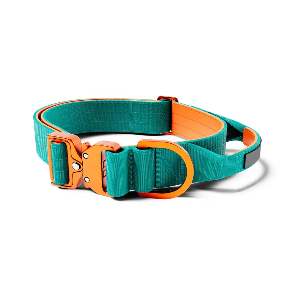 Customized Logo Color Blocking Design Pet Outdoor Training Nylon Tactical Heavy Duty for Wholesale & OEM Programs