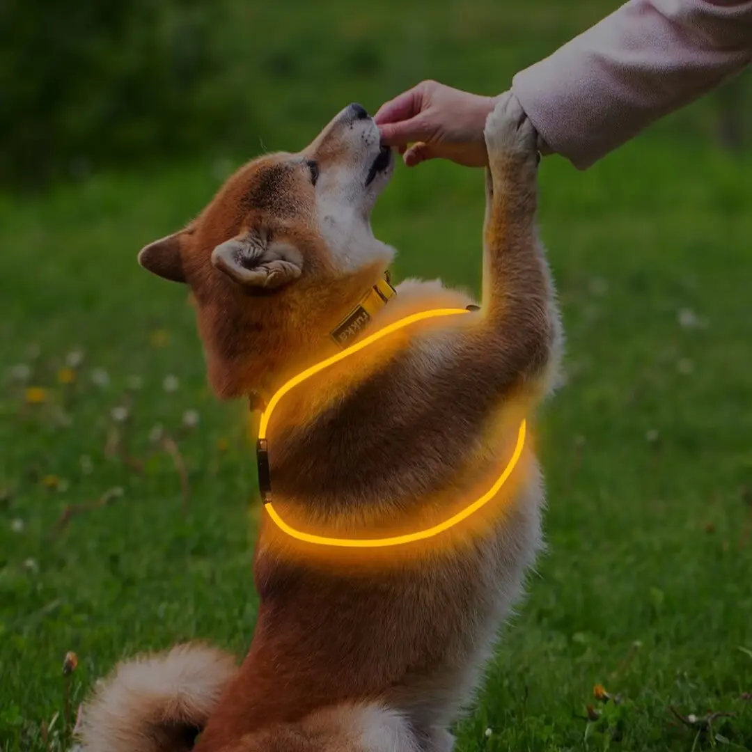 USB 6MM Optical Fiber Dog Harness LED Glowing Dog Vest for Walking the Dog at Night for Dogs for Wholesale & OEM Programs detail