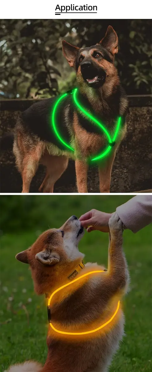 USB 6MM Optical Fiber Dog Harness LED Glowing Dog Vest for Walking the Dog at Night for Dogs for Wholesale & OEM Programs detail