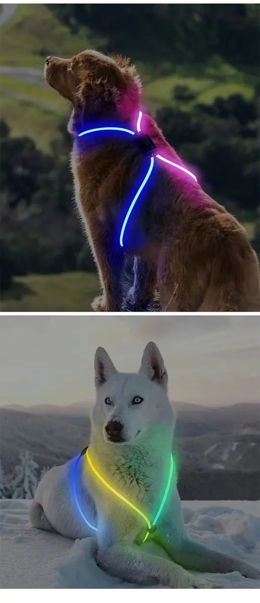 USB 6MM Optical Fiber Dog Harness LED Glowing Dog Vest for Walking the Dog at Night for Dogs for Wholesale & OEM Programs detail