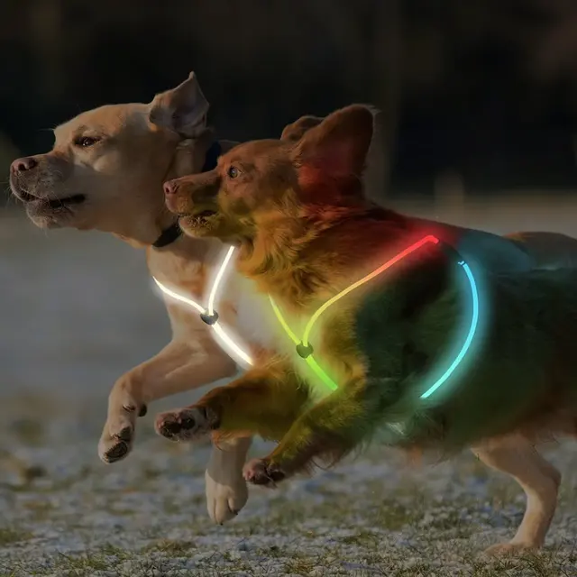 USB 6MM Optical Fiber Dog Harness LED Glowing Dog Vest for Walking the Dog at Night for Dogs for Wholesale & OEM Programs