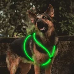 USB 6MM Optical Fiber Dog Harness LED Glowing Dog Vest for Walking the Dog at Night for Dogs for Wholesale & OEM Programs view 2