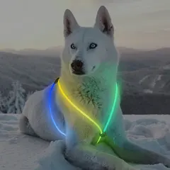 USB 6MM Optical Fiber Dog Harness LED Glowing Dog Vest for Walking the Dog at Night for Dogs for Wholesale & OEM Programs view 3