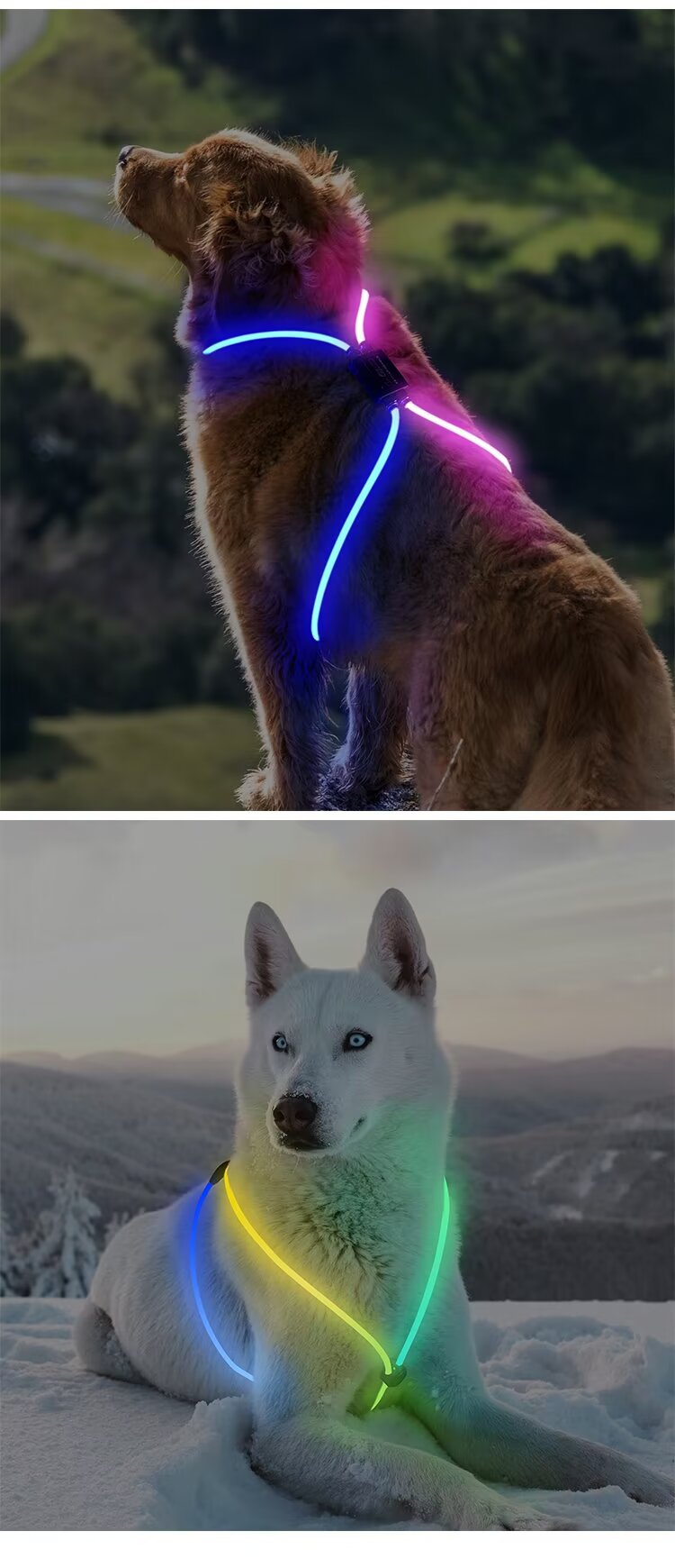 USB 6MM Optical Fiber Dog Harness LED Glowing Dog Vest for Walking the Dog at Night for Dogs for Wholesale & OEM Programs detail