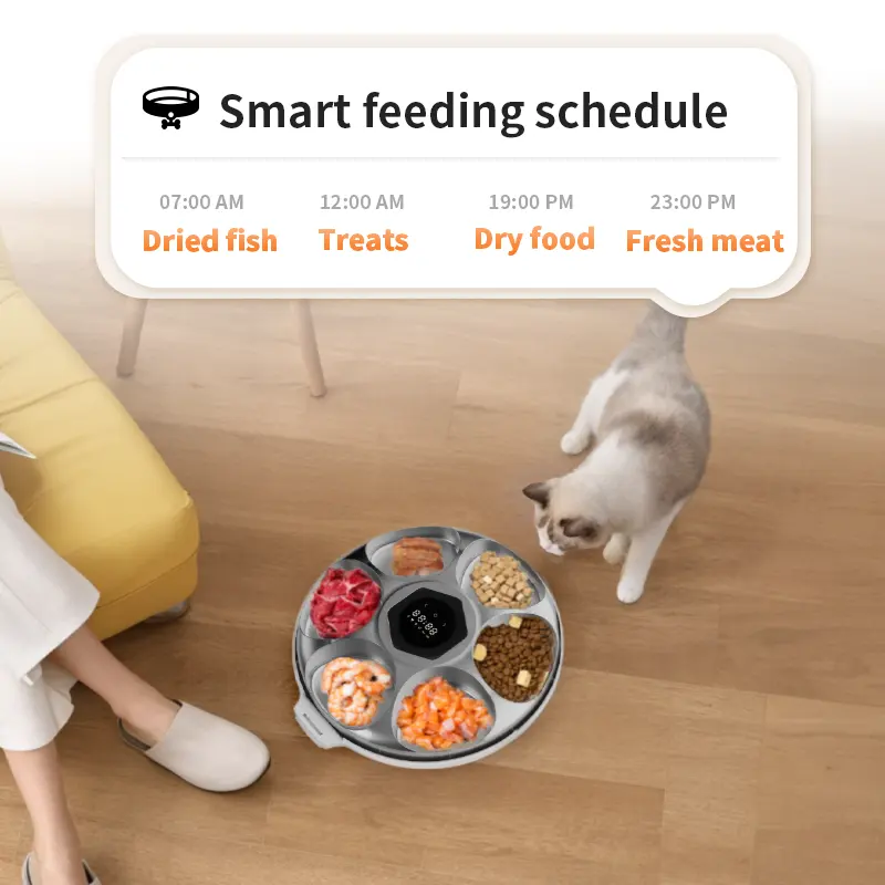 Durable WIFI Smart Automatic Feeder Eco-Friendly Plastic Food Dispenser Timer for Dogs for Wholesale & OEM Programs detail